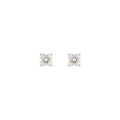 Clovera Studs