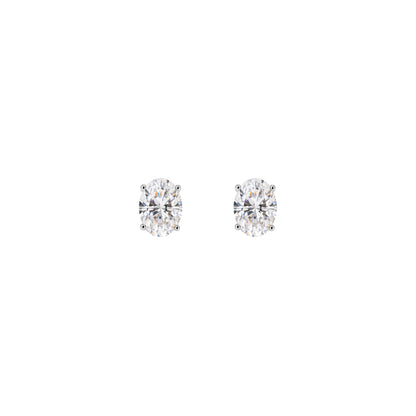 Oval Essentials Studs