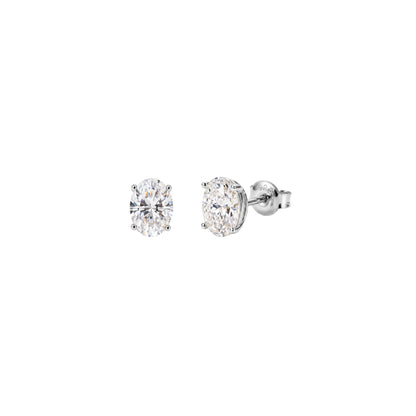 Oval Essentials Studs