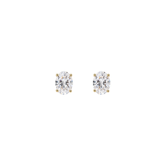 Oval Essentials Studs