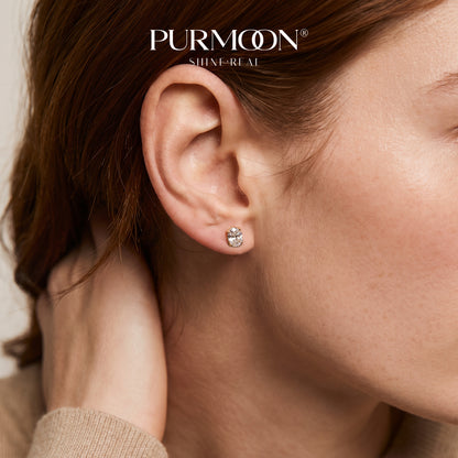 Oval Essentials Studs