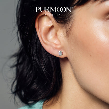 Oval Essentials Studs